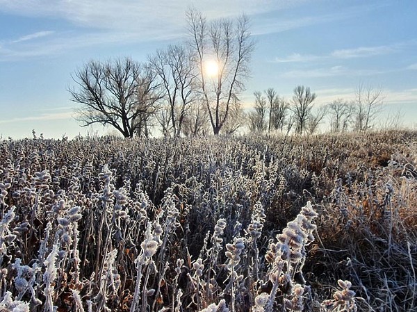 Изображение Фото: Алексей Коломиец.