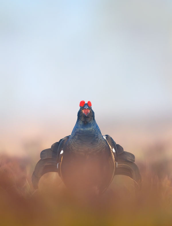 Изображение фото: fotolia.com
