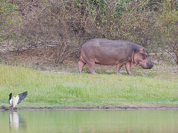 Изображение Фото автора. 