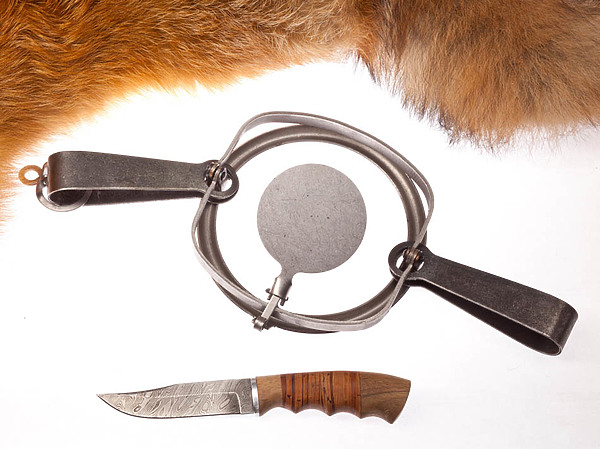 Изображение фото: Fotolia.com