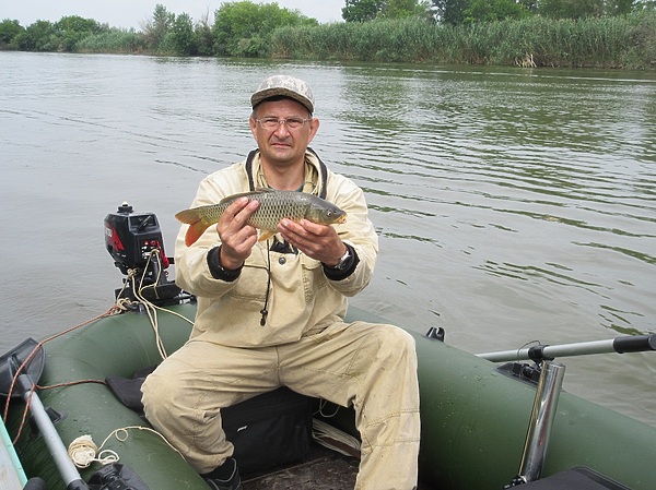 Изображение Минимально допустимый размер. Фото: Трембицкого Алексея.