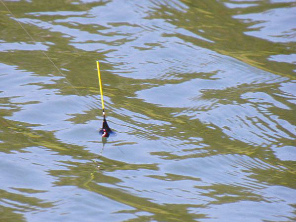 Изображение Фото: Анатолия Маилкова.