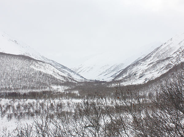 Изображение ФОТО: ДМИТРИЙ ВСТОВСКИЙ