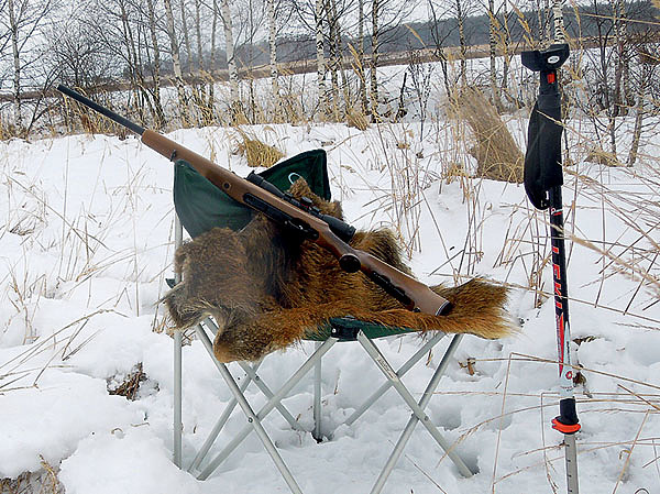 Изображение Фото автора.