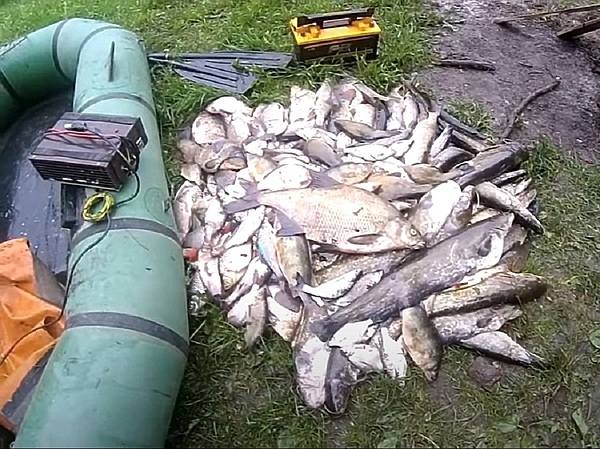 Изображение Фото с канала YouTube Приют рыбака.