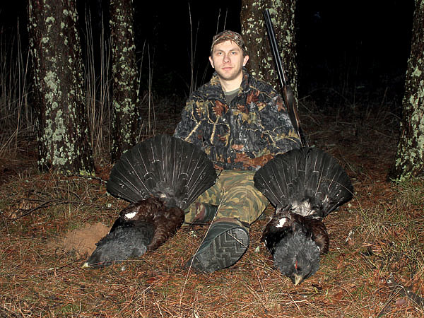 Изображение На больших токах, где десять и более глухарей, двух можно добыть без ущерба для популяции. ФОТО ДМИТРИЯ ВАСИЛЬЕВА 