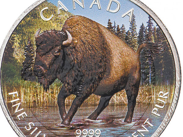 Изображение Фото автора.