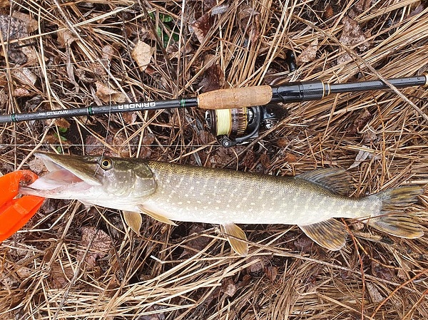 Изображение Фото: Коломийца Алексея.