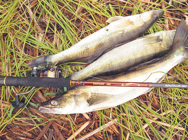 Изображение Фото: Алексей Коломиец. 