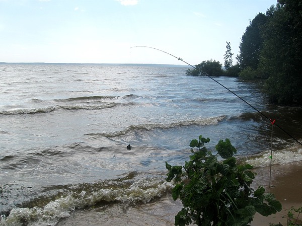 Изображение Фото: Александр Токарев. 