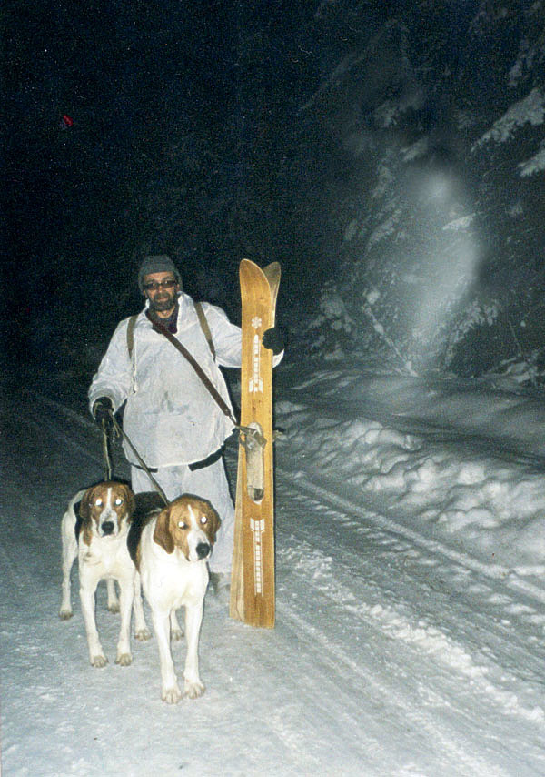 Изображение Зимний день короток: заходишь в лес — темно, выходишь — тоже. Фото автора.