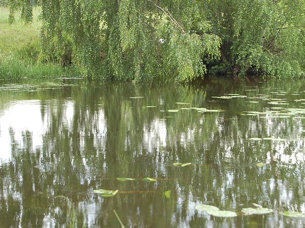 Изображение Река Клязьма. Фото: Яншевского Андрея.