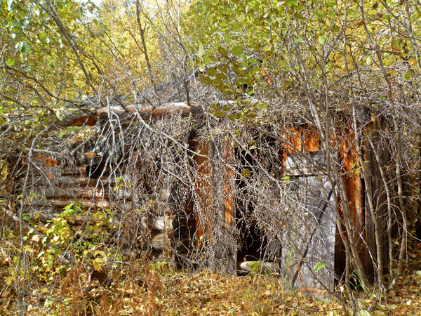 Изображение Фото автора