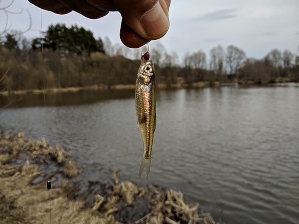 Изображение Фото: Трембицкого Алексея. 