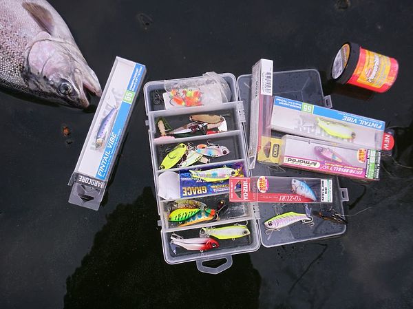 Изображение Некоторые топовые модели были специально приобретены заранее и ждали своего часа. Фото: Евгений Кузнецов.