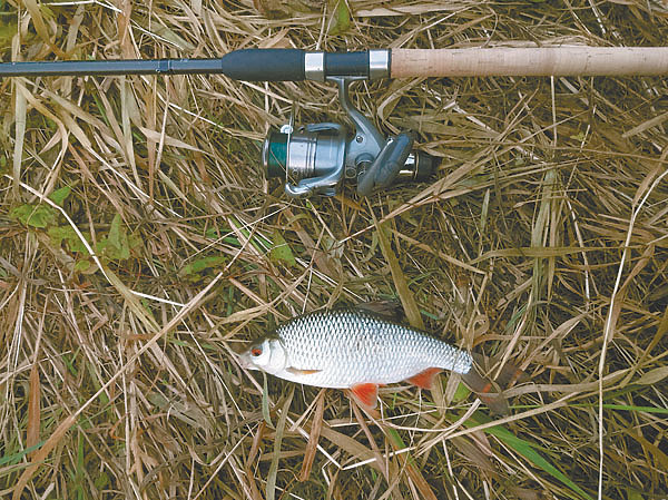 Изображение Фото: Алексей Мурашко. 