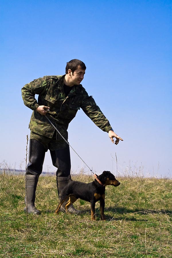 Изображение фото: Fotolia.com 