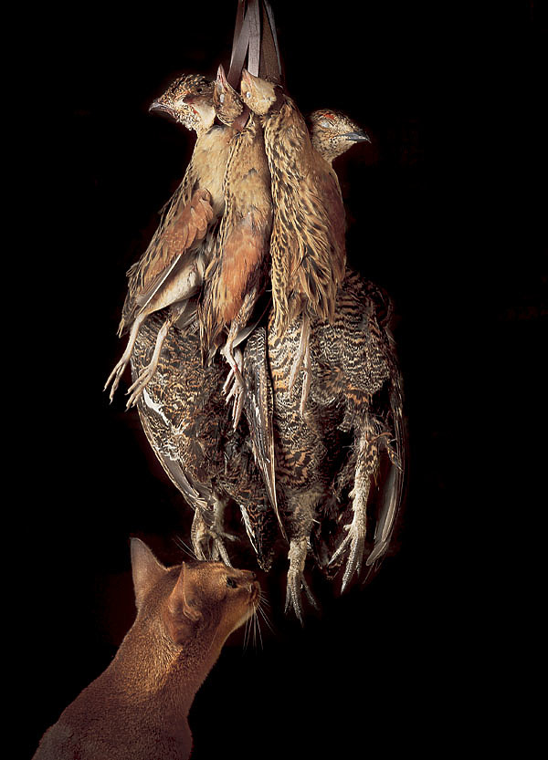 Изображение ФОТО SHUTTERSTOCK 