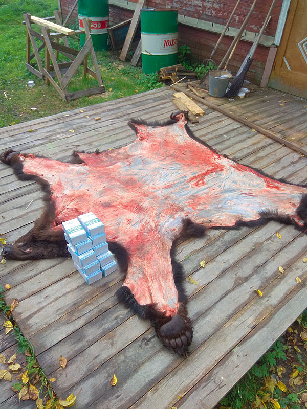 Изображение ФОТО ДМИТРИЯ ВАСИЛЬЕВА 