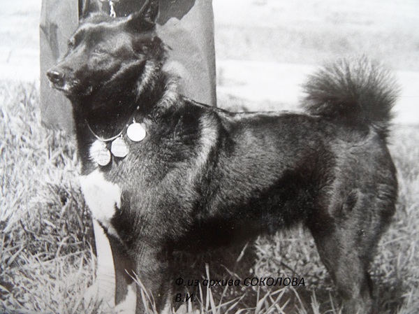 Изображение Рада 1927 р.1973 Баранова О.И.от Мары Позднякова.