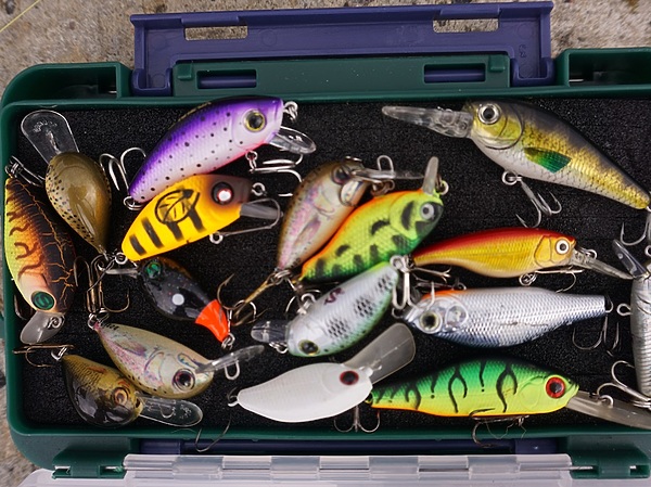 Изображение Кренки предназначенные для голавля остались невостребованными. Фото: Евгений Кузнецов.