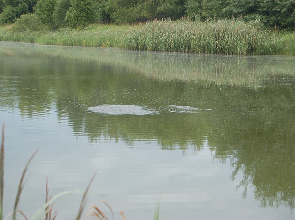 Изображение Фото: Яншевского Андрея.