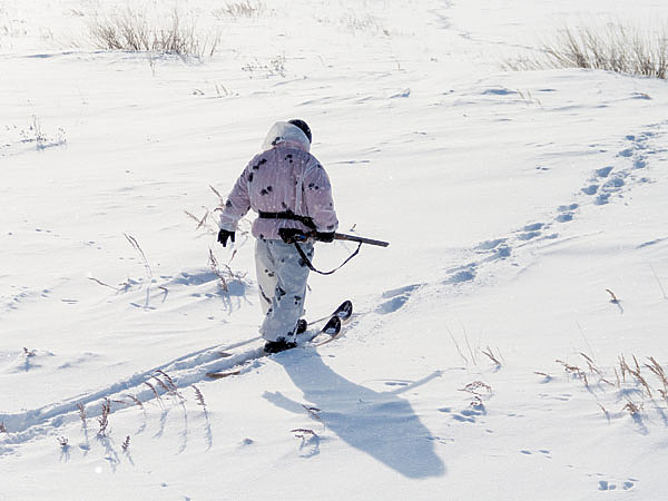 Изображение Маневренность в «крепких» местах у коротких лыж выше, по сравнению с длинными. Однако при преодолении завала короткие лыжи чаще, чем длинные, проваливаются вглубь. ФОТО SHUTTERSTOCK