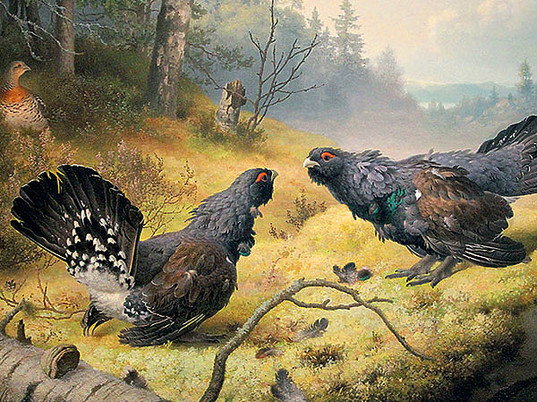 Изображение ИЛЛЮСТРАЦИЯ FERDINAND VON WRIGHT