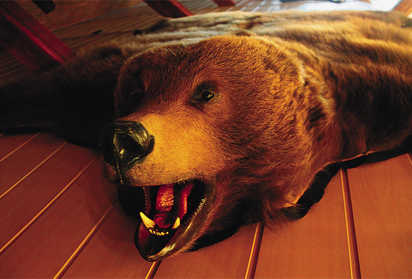 Изображение Стоимость ковра из шкуры медведя в крупных городах России начинается от 30 000 рублей. Добытый лично трофей — бесценен.