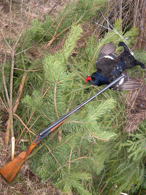 Изображение фото: Михаила Семина