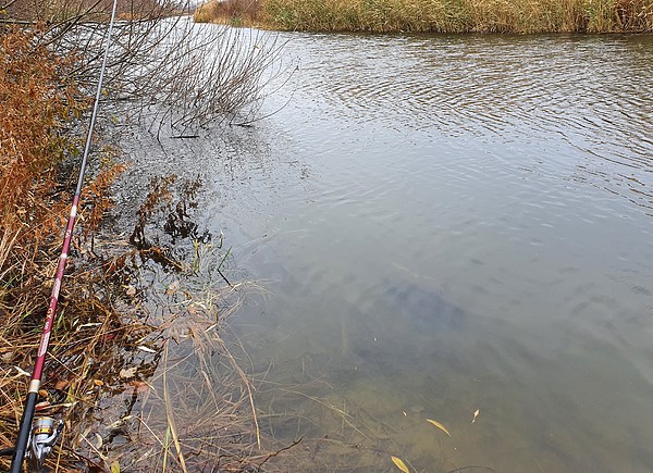 Изображение Река поздней осенью выглядит не так привлекательно как летом. Фото: Геннадий Шеляг.