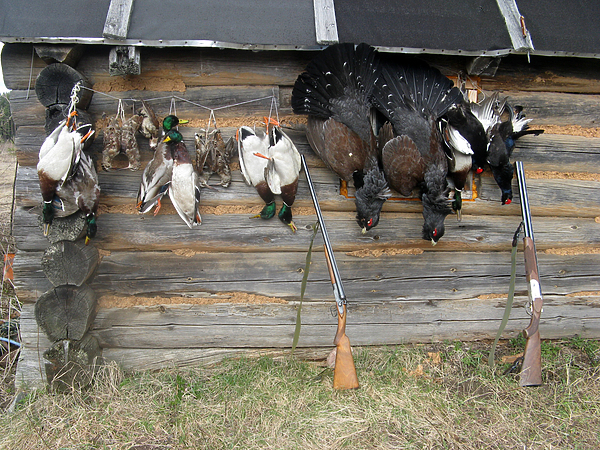 Изображение фото: Михаила Семина