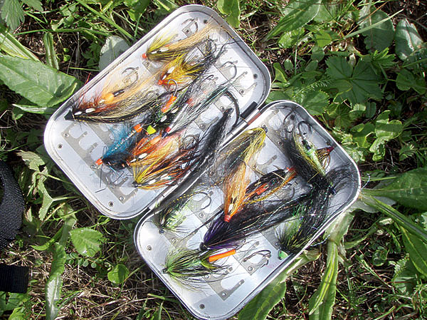 Изображение Фото: Геннадий Шеляг. 