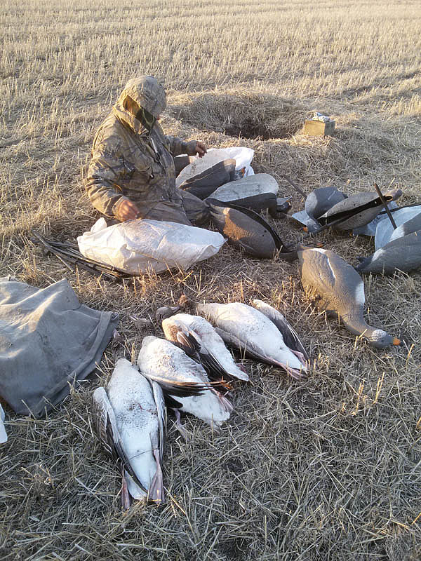 Изображение фото: Алексея Стефановича 