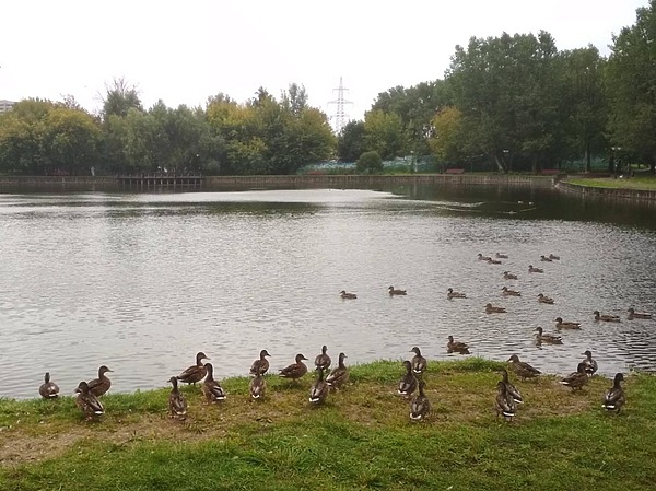 Изображение фото: Дмитрия Кочеткова