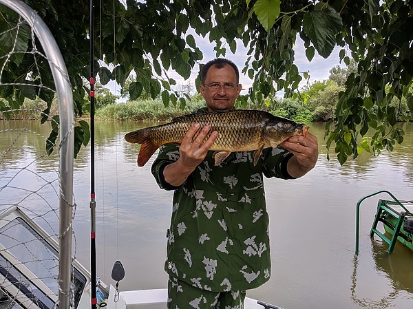 Изображение Еще один великан. Фото: Трембицкого Алексея.