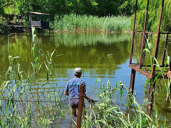 Изображение Нужно связывать небольшое количество небольших деревьев, чтобы не надрываться, затаскивая все это в воду. Фото: Шеляга Геннадия.