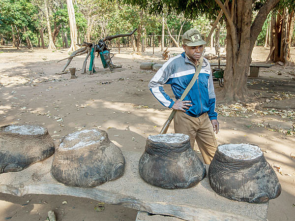 Изображение За сбыт дериватов крупных африканских животных можно получить не только большие деньги, но и приличный срок. ФОТО SHUTTERSTOCK 