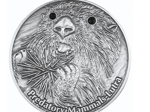 Изображение Фото автора. 