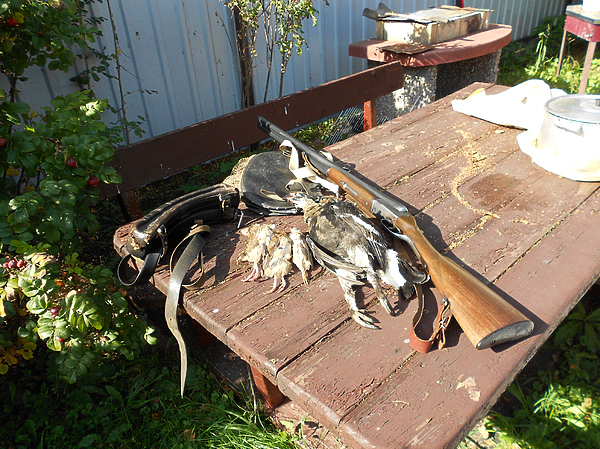 Изображение фото: Алексея Князева