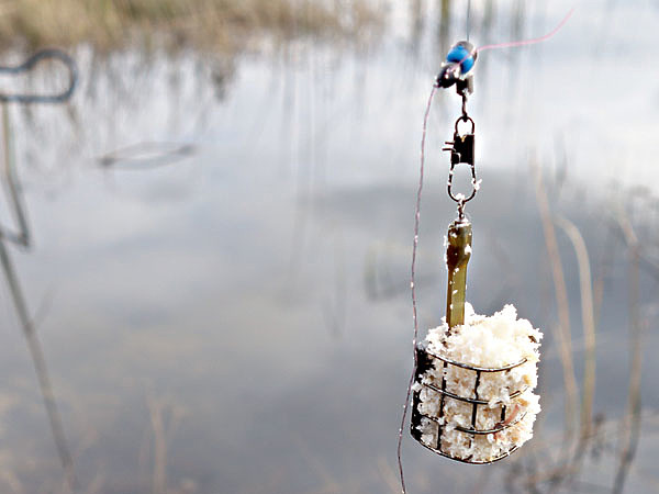 Изображение Фото: Линника Николая. 