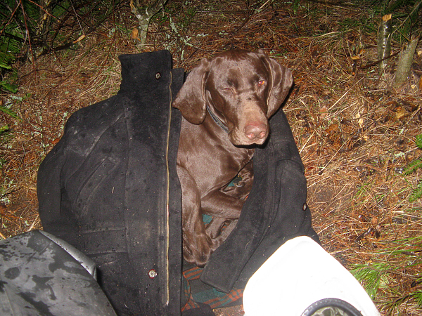 Изображение фото: Михаила Семина