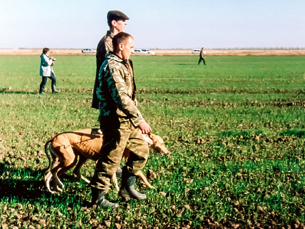Изображение ФОТО Сергея МАТВЕЕВА