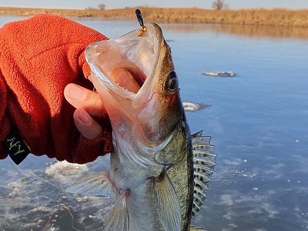 Изображение Фото: Алексей Коломиец. 