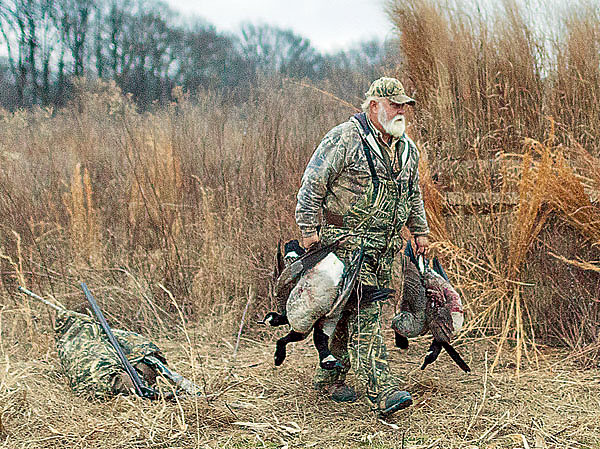 Изображение ФОТО CHESAPEAKE BAY PROGRAM/FLICKR.COM (CC BY-NC 2.0)