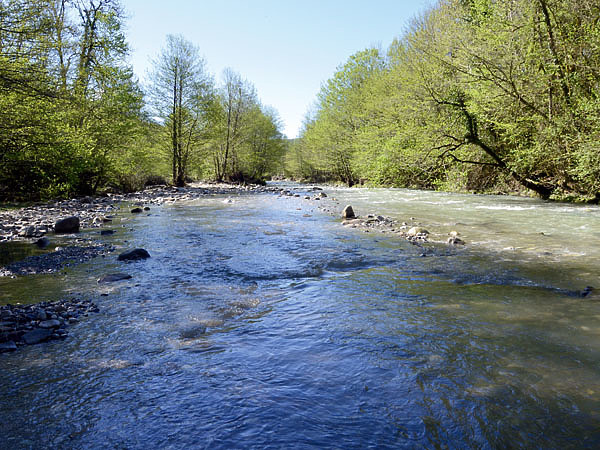 Изображение Еще одним трофеем спиннингистов в горных реках будет голавль. Фото: Шеляга Геннадия.