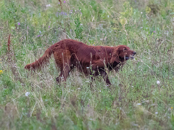 Изображение Фото: Константин Шмыгин 