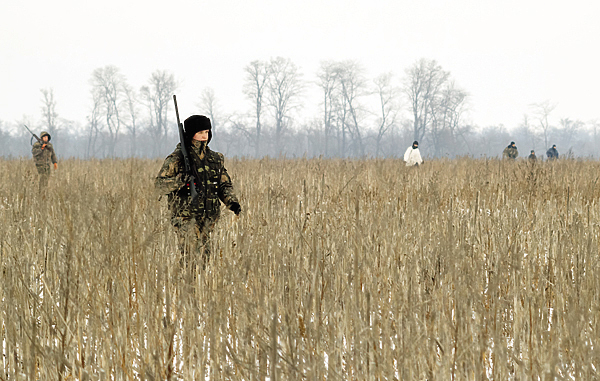 Изображение Существует много способов охоты на лисицу. В число наиболее популярных 
и результативных входит командная охота загоном.