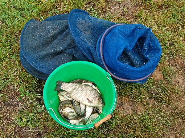 Изображение Фото: Яншевского Андрея.