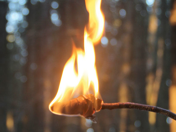 Изображение В расплавленный на водной бане парафин налейте обычное растительное масло, непрерывно помешивая (соотношение 1:1, по объему). Хранить парафиновое масло удобно в баночке с завинчивающейся крышкой. Смесью можно намазать кусок одежды, кору, картон, губку или другой пористый материал. Фото автора. 